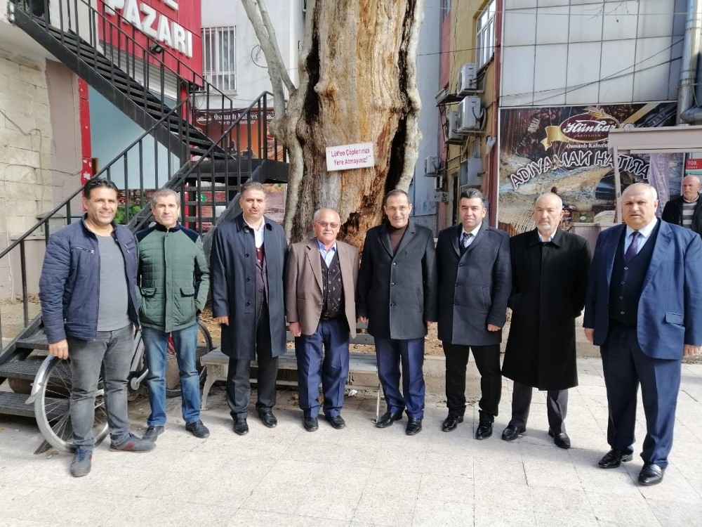 Milletvekili Fırat 400 yıllık anıt ağacı inceledi 