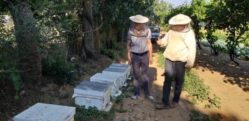 Milletvekili Girgin’den arıcılar için enstitü teklifi 