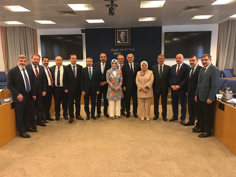 Milletvekili Köktaş: 