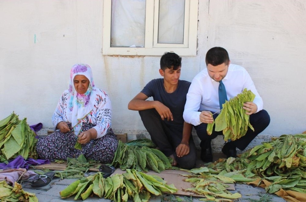 Milletvekili Toprak, tütün üreticilerine kolaylık diledi 