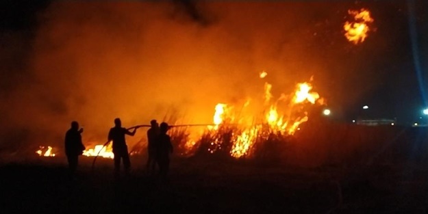 Milleyha sulak alanında çıkan yangın kontrol altına alındı