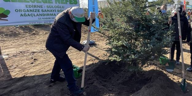 Milli Ağaçlandırma Günü! Erdoğan canlı bağlandı