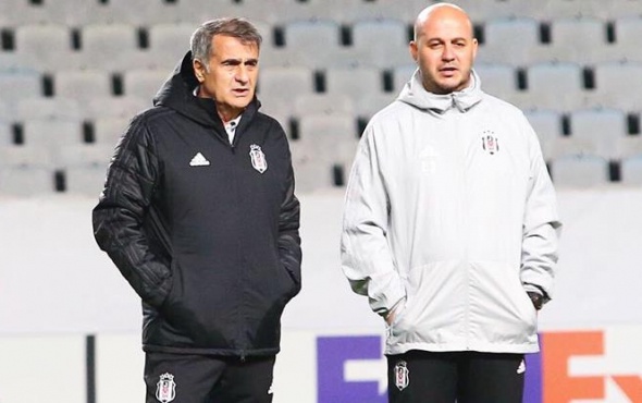 Milli ara onlara yaradı: Güneş'in zor tercihi!