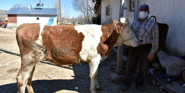 Milli Dayanışma Kampanyası'na 'dev' bağış