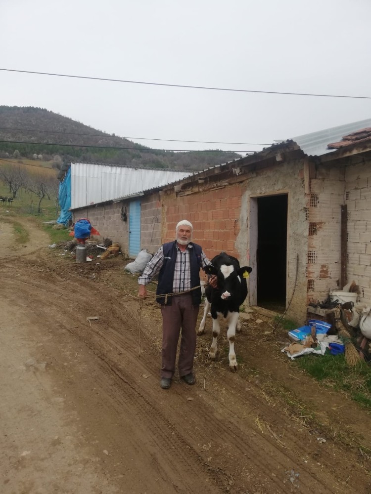 Milli Dayanışma Kampanyası’na düvesini bağışladı 