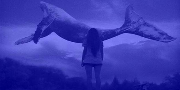 Milli Eğitim Bakanlığı harekete geçti! 'Mavi Balina' ve 'Momo' önlemi