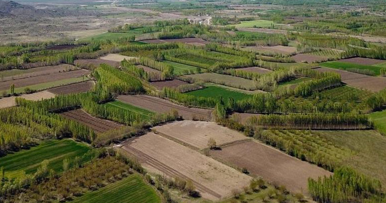 Milli Emlak'tan görülmemiş arsa fırsatı! 13 bin liraya tapu sahibi olabilirsiniz