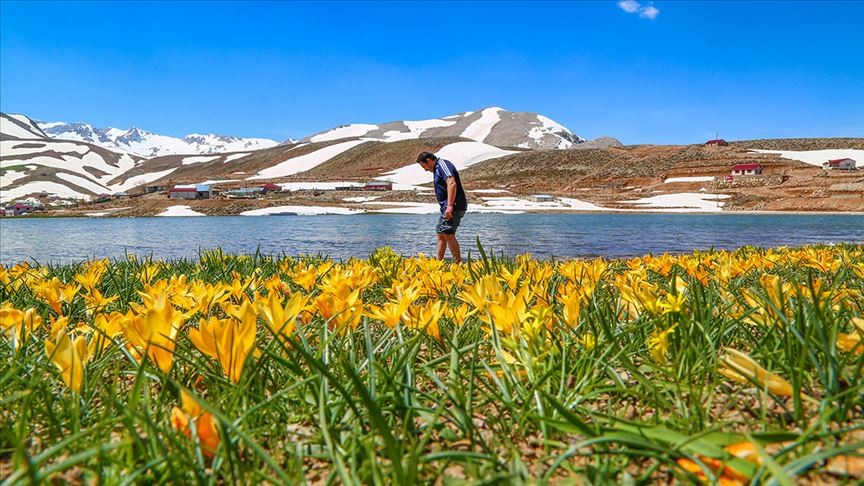 Milli ilacın temelini şifalı bitkiler oluşturacak!