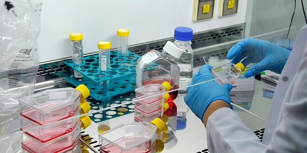 'Milli kanser ilacımızı üreteceğiz!'