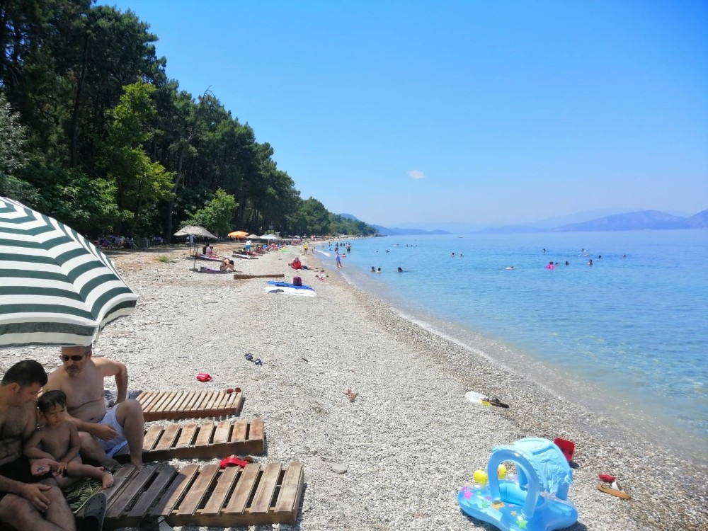 Milli park sınırları içerisinde hayvan beslenmesi yasaklandı 