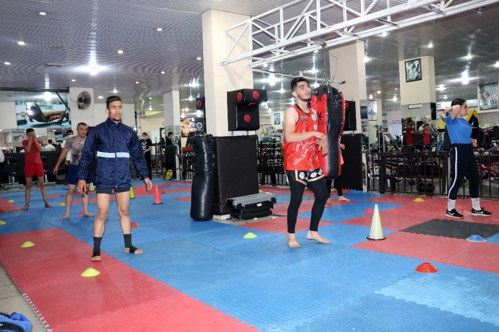 Milli sporcular salonlara kavuştu 