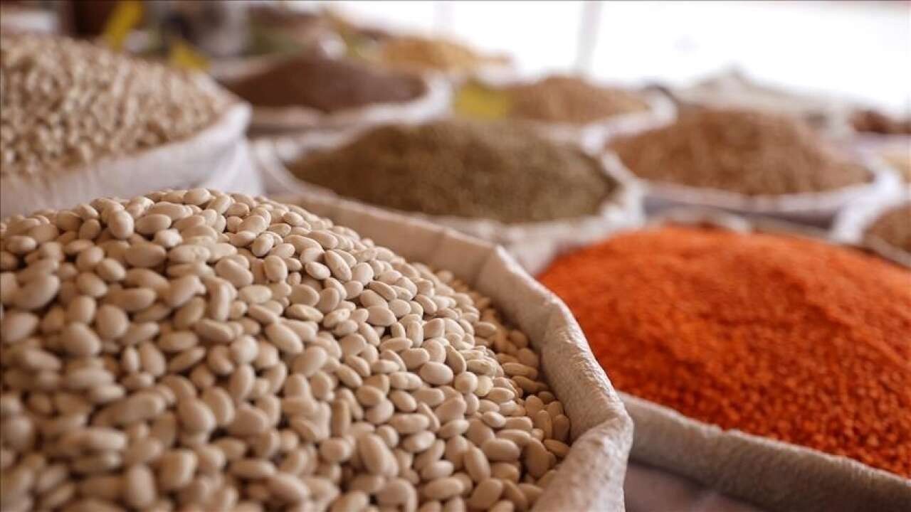 Milyar dolarlık dev ihracat! Tarım, gıda ve içecek ihracatı: Irak, Almanya, Amerika Türkiye’nin kapısını çaldı