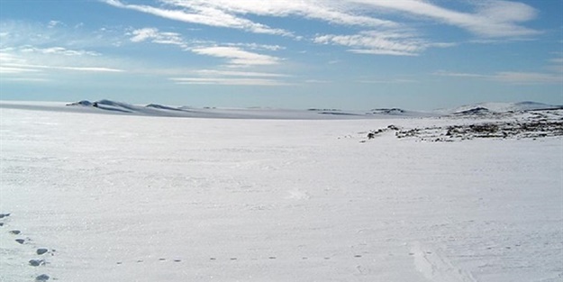 Milyarlarca yıllık fosil bulundu!