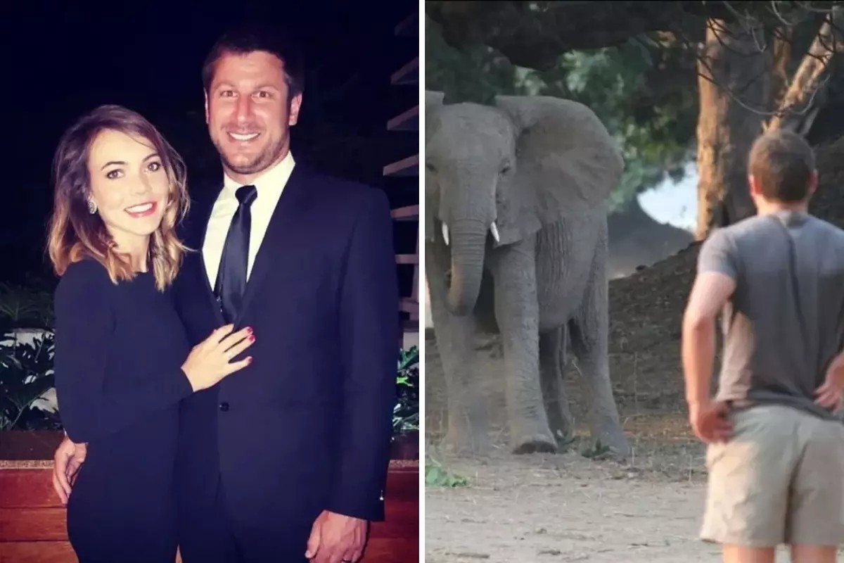 Milyoner CEO'yu fil parçaladı! Safari dehşeti ölümle bitti