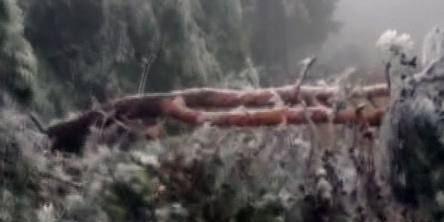 Ateş değil buz yaktı!