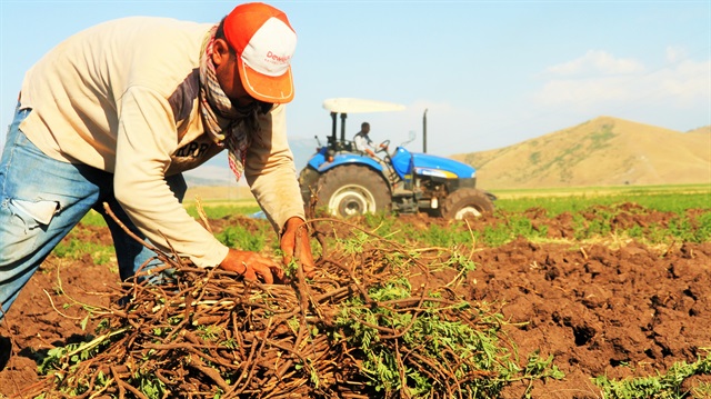 Milyonlarca çiftçiye güzel haber