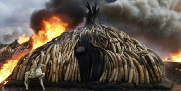 Milyonlarca dolar değerindeydi ama...