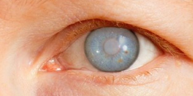 Milyonlarca görme engelliye umut ışığı!