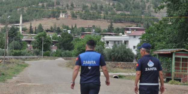 Milyonlarca köpek var ve tehdit büyük Tek köpek koca mahalleyi yaktı