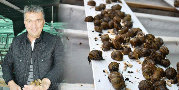 Milyonlarca lira yatırdılar! Avrupa'ya satıyorlar...