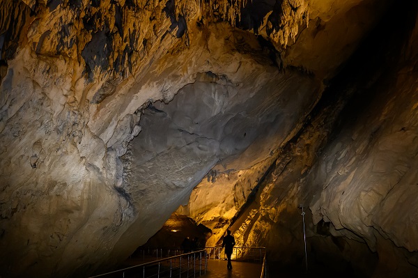 Milyonlarca yıllık mercan fosiller hayran bırakıyor