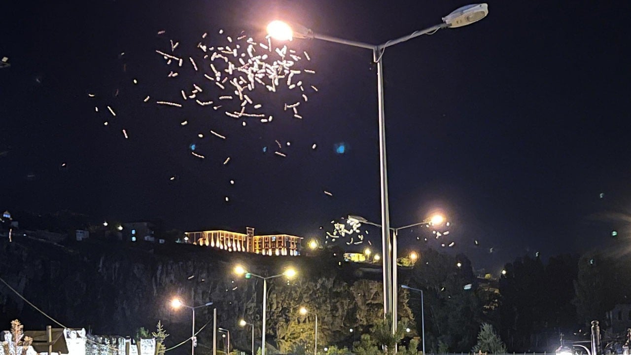 Milyonlarcası aynı anda ışıklara akın etti! Ardahan’da kelebeklerin "ölüm dansı"