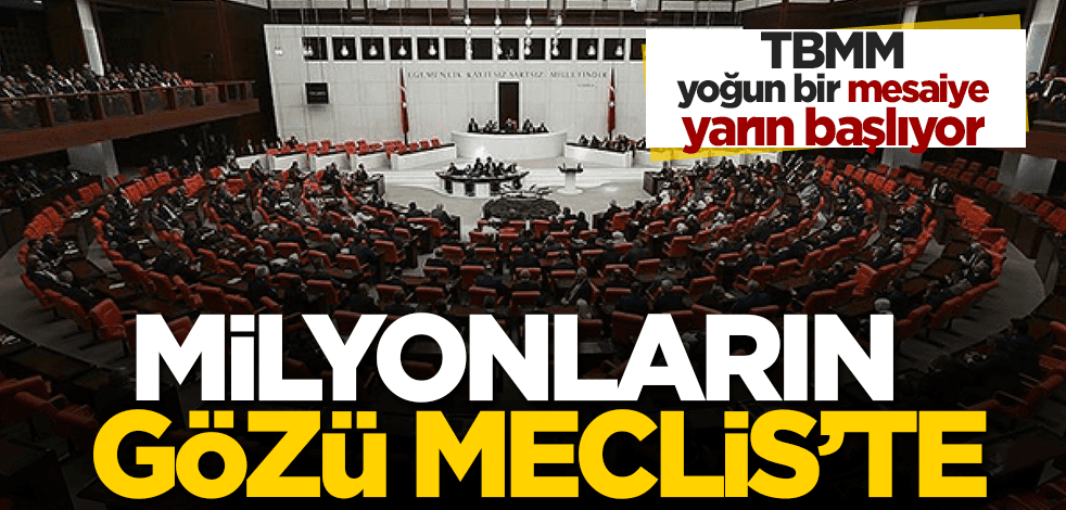 Milyonların gözü kulağı bu hafta Meclis’te!