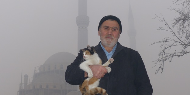 Minarede mahsur kalan kediyi, imam hatip kurtardı