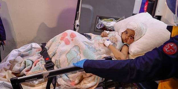 Minik Asiye'ye küfürler yağdırmış, ailesine dava açmışlardı: Hayvan derneklerinin arkasındaki lobi ortaya çıktı!