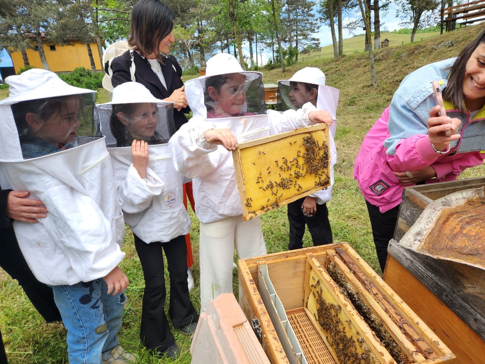 Minik öğrenciler arıların dünyasında