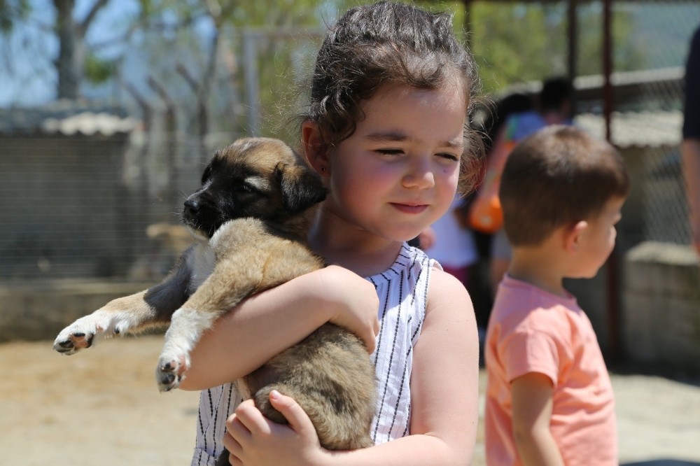 Minikler yavru köpeği paylaşamadı 
