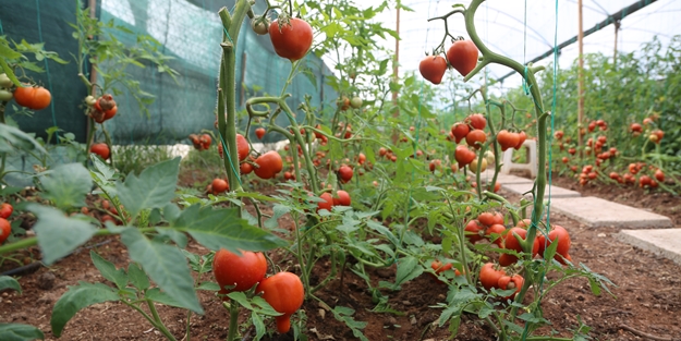 Miniklerin ürettiği ürünler depremzedelere aş oluyor