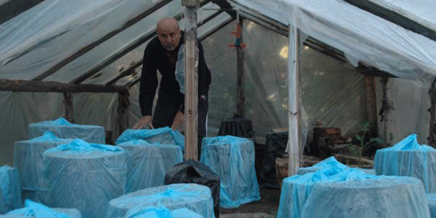 Misafirlerine ikram için yaptı, şimdi siparişlere yetişemiyor… Kilosu 30 Avro