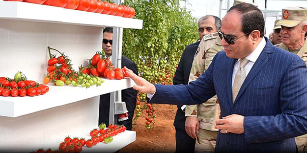 Mısır bu sözlerle çalkalanıyor! 'Sisi şişmanları hapse atacak'