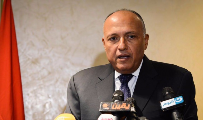 Mısır Dışişleri Bakanı'ndan ilginç terör açıklaması