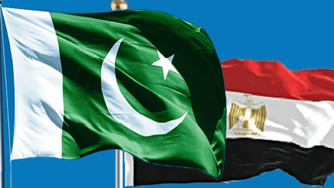 Mısır ile Pakistan'dan Gazze çağrısı