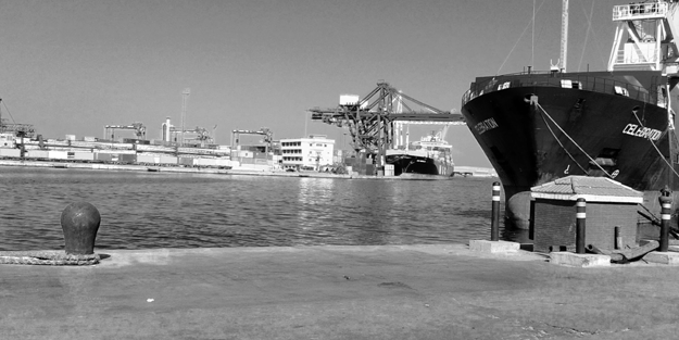 Mısır limanları İsrail'in Gazze'deki soykırımını besliyor!