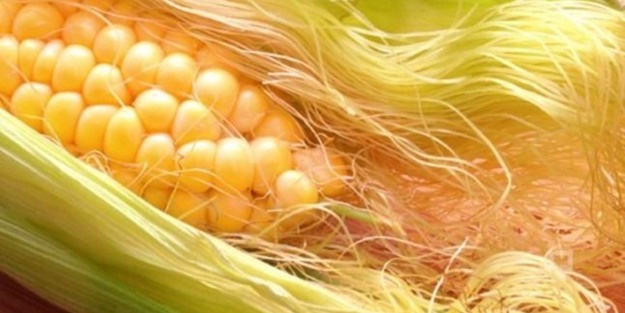 Mısır püskülünün faydaları nelerdir?