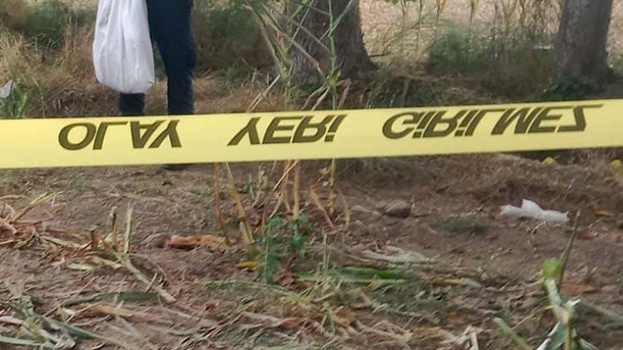 Mısır tarlasında dehşet! Mısır tarlasında kafatası bulundu