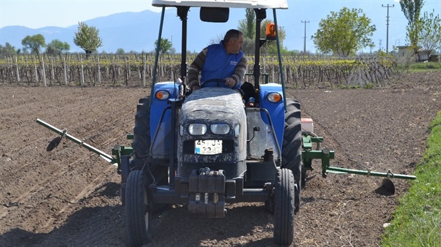 Mısır üreticisinin beklentisi 1 lira