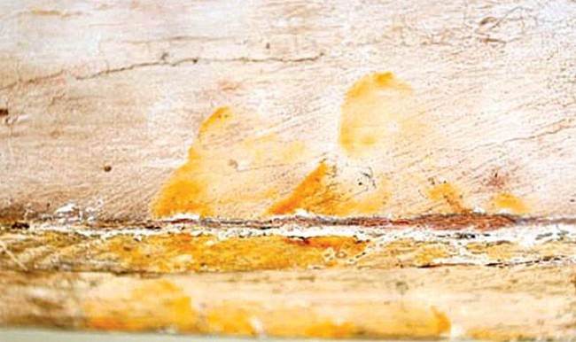 Mısır'da 3 bin yıllık parmak izi