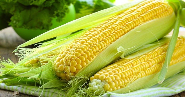 Mısırdaki büyük tehlike