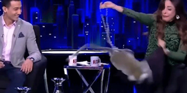 Mısırlı sunucuya canlı yayında maymun saldırdı