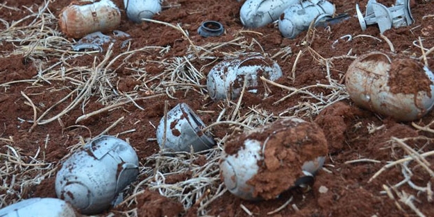 Yanlışlıkla yayınlayınca gerçekler ortaya çıktı