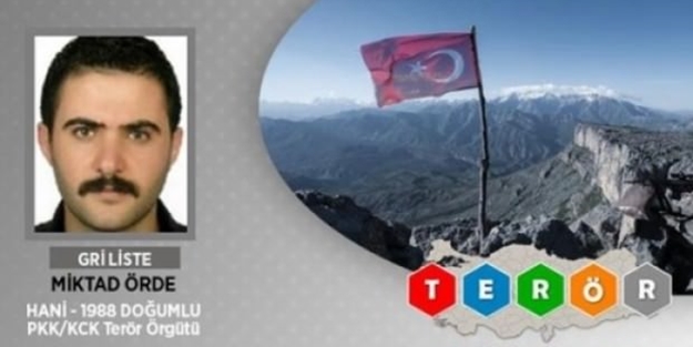 MİT, Emniyet ve Jandarma'dan ortak operasyon! Gri listedeki o terörist öldürüldü