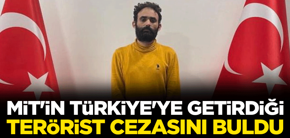 MİT'in Türkiye'ye getirdiği terörist cezasını buldu