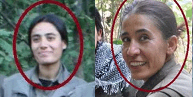 MİT'ten nokta operasyon!