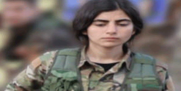 MİT'ten nokta operasyon