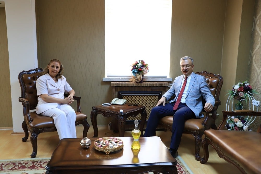 Mobbing, Erzincan Binali Yıldırım Üniversitesinde seçmeli ders olarak okutulacak 