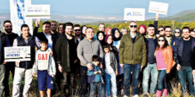 Mobil işlemler ağaca dönüştü